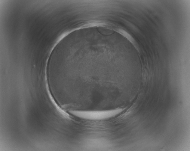 X0000067501055200604071221