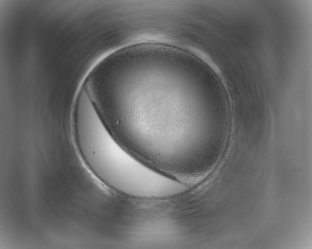 X0000067501056200604071221