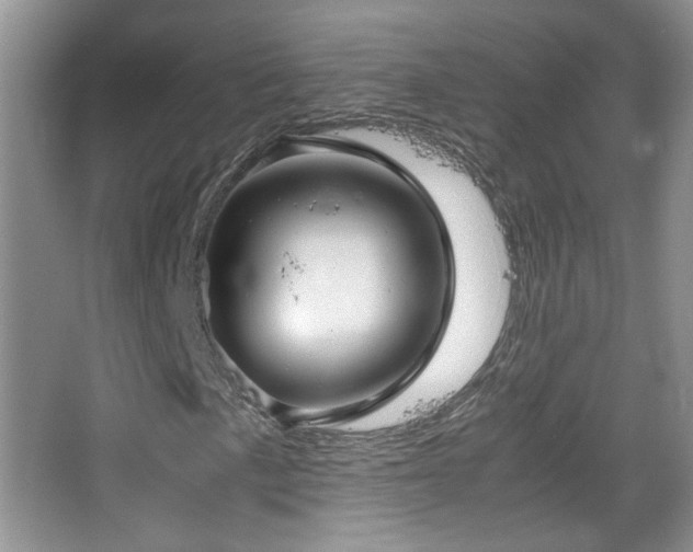 X0000067501057200604071220