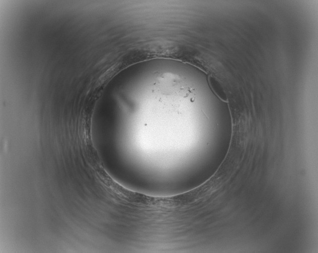 X0000067501058200604071220