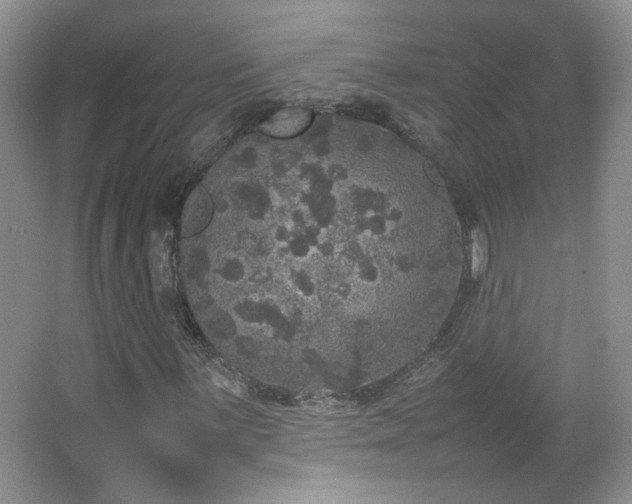 X0000067501059200604071220