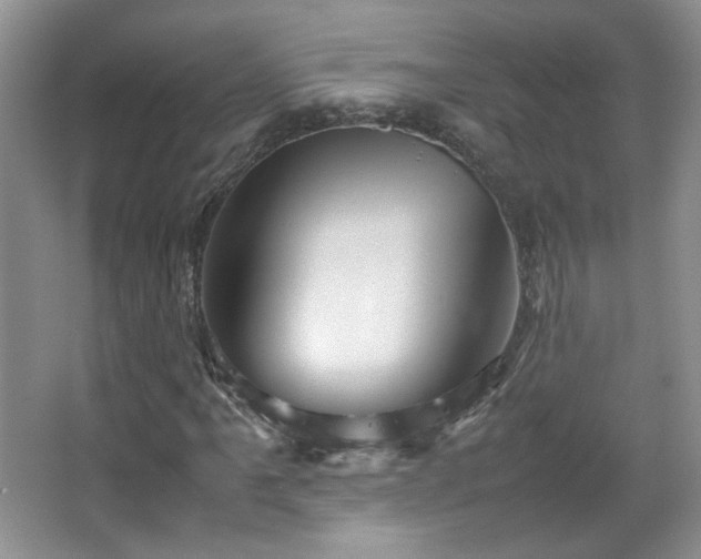 X0000067501061200604071220