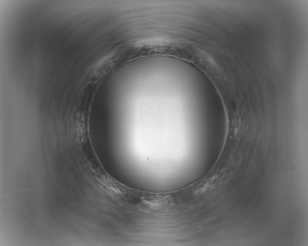 X0000067501062200604071220