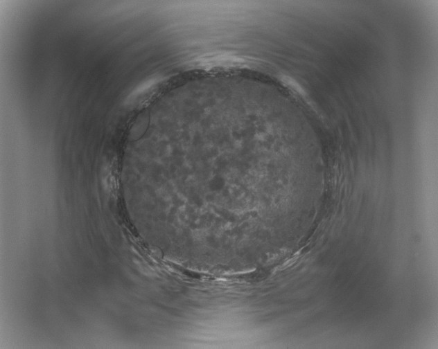 X0000067501063200604071220