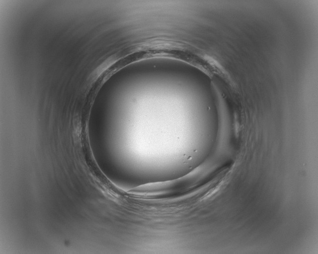 X0000067501065200604071220