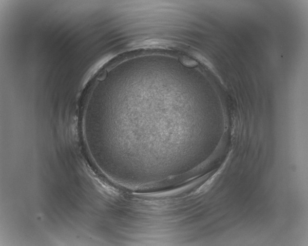 X0000067501066200604071220