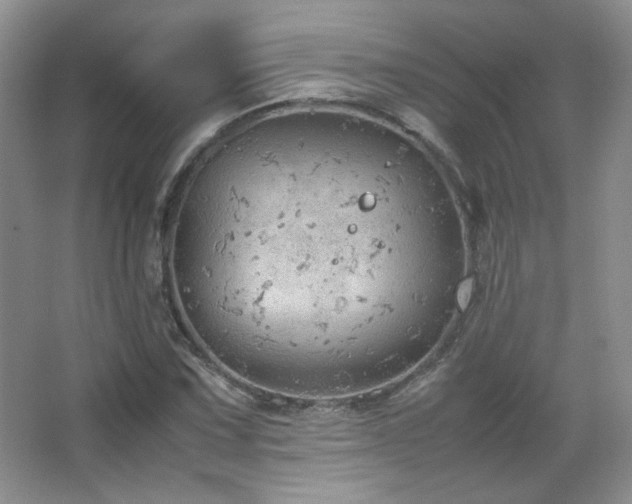 X0000067501067200604071220