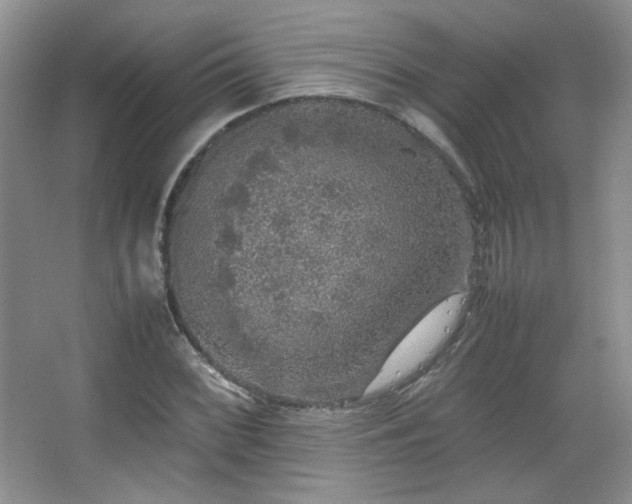 X0000067501068200604071220