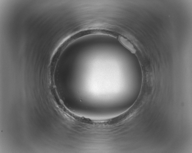 X0000067501069200604071220