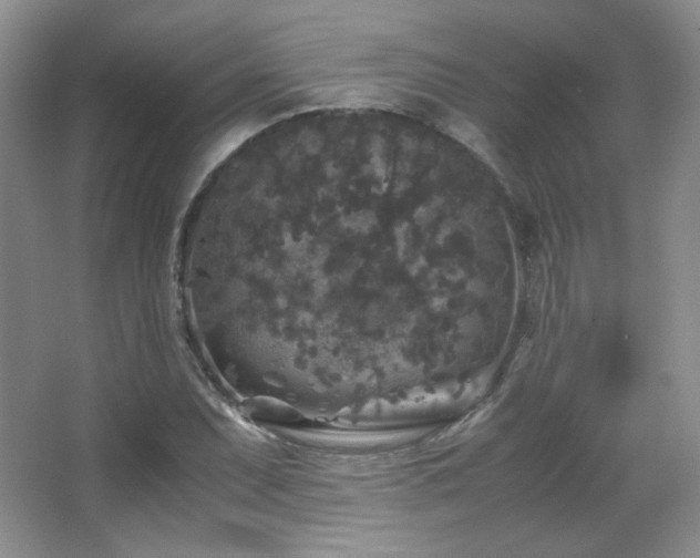 X0000067501071200604071220