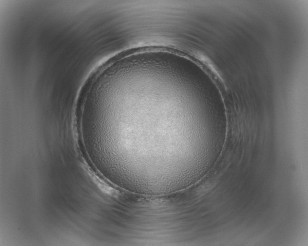 X0000067501072200604071220