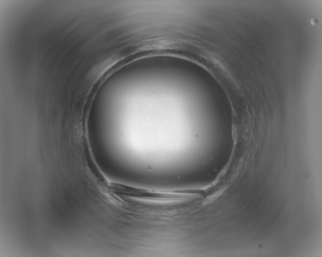 X0000067501073200604071220