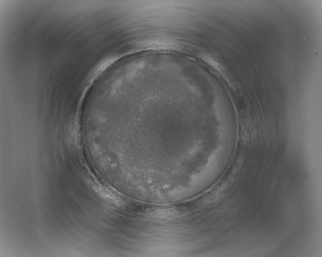 X0000067501074200604071220