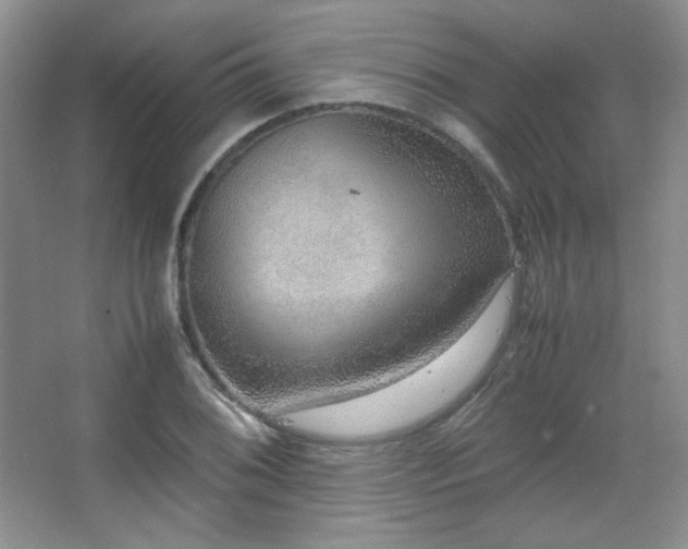 X0000067501076200604071220