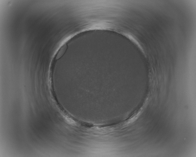 X0000067501077200604071220