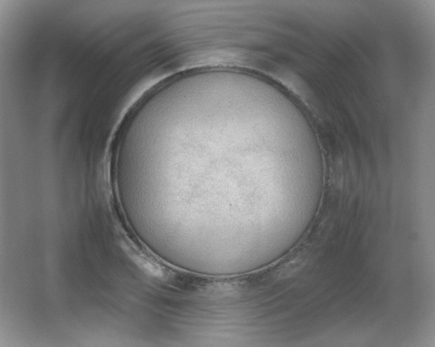 X0000067501078200604071220