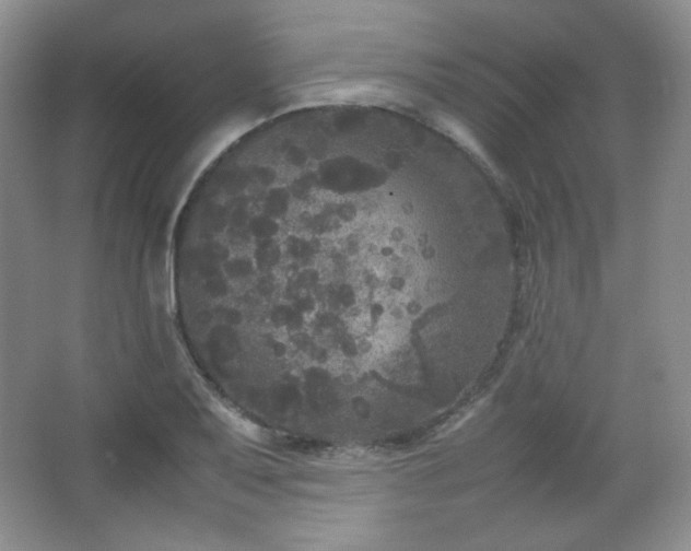 X0000067501079200604071220