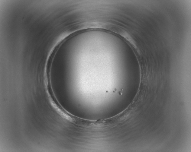 X0000067501080200604071220