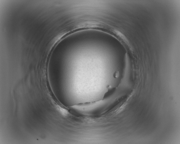 X0000067501081200604071220