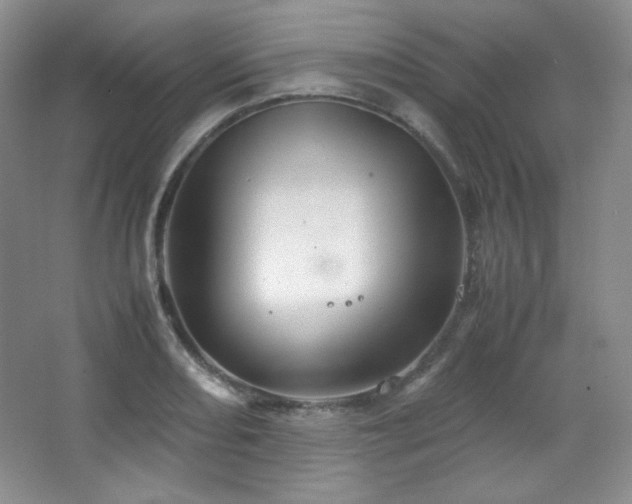 X0000067501082200604071220