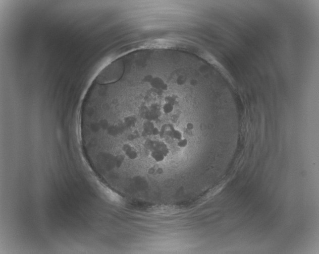 X0000067501083200604071220