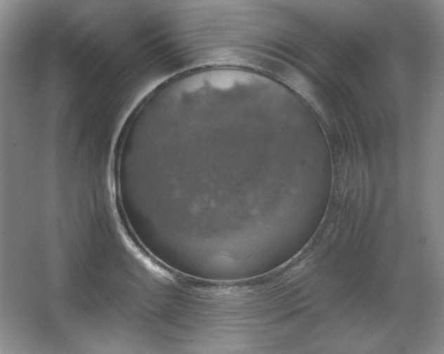 X0000067501084200604071220