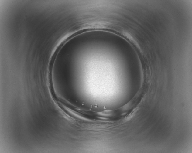 X0000067501085200604071220