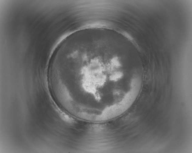 X0000067501086200604071220