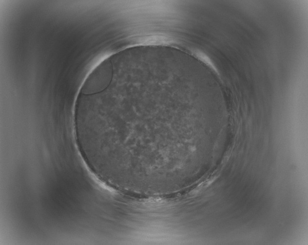 X0000067501087200604071220