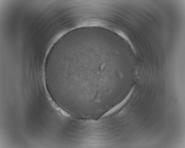 X0000067501088200604071220