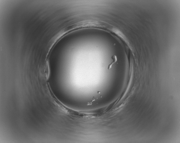 X0000067501089200604071220