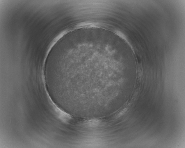 X0000067501090200604071220