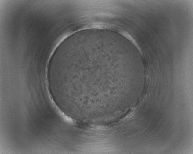 X0000067501091200604071220