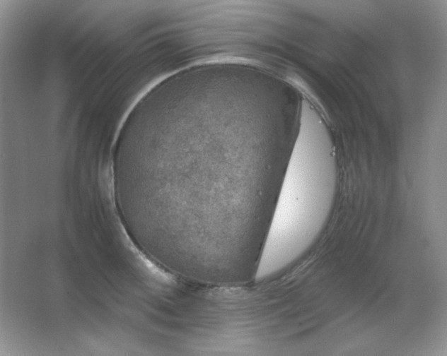 X0000067501092200604071220