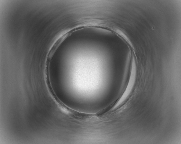 X0000067501093200604071220