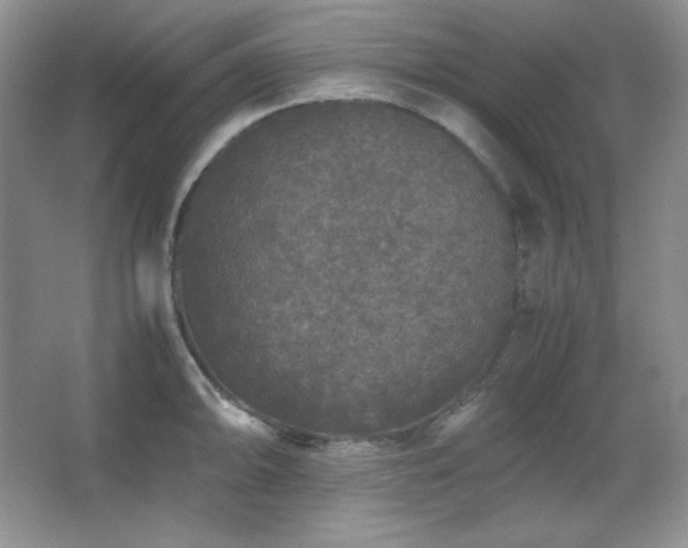 X0000067501094200604071220