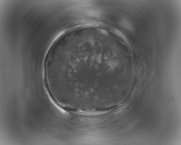 X0000067501095200604071220