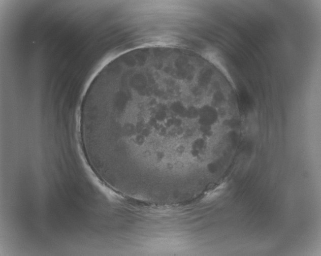 X0000067501099200604071220