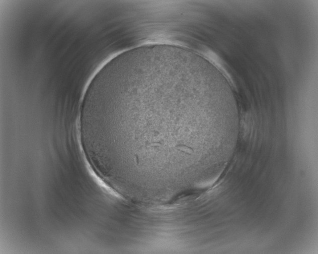 X0000067501100200604071220