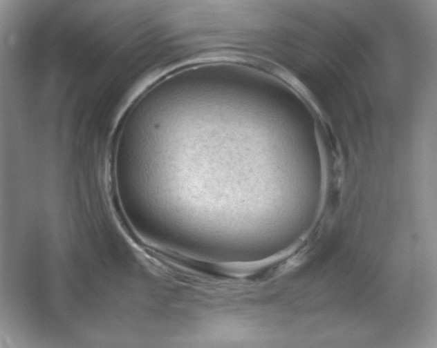 X0000067501101200604071220