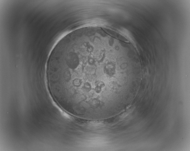 X0000067501103200604071220