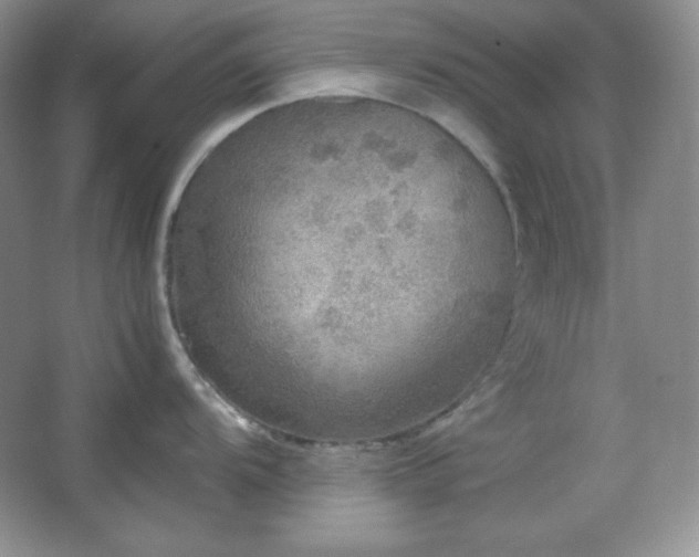 X0000067501104200604071220