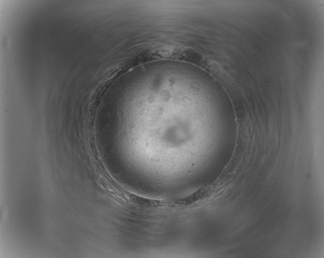 X0000067501105200604071219