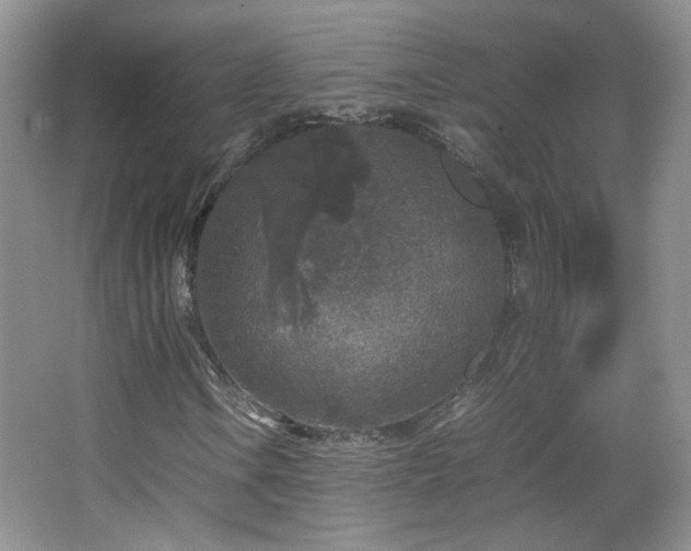 X0000067501106200604071219