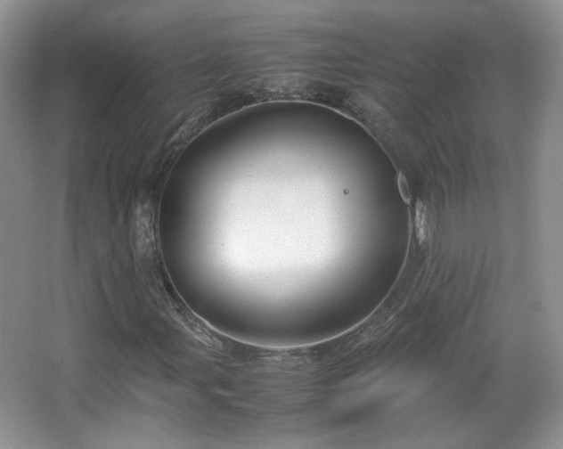 X0000067501107200604071219