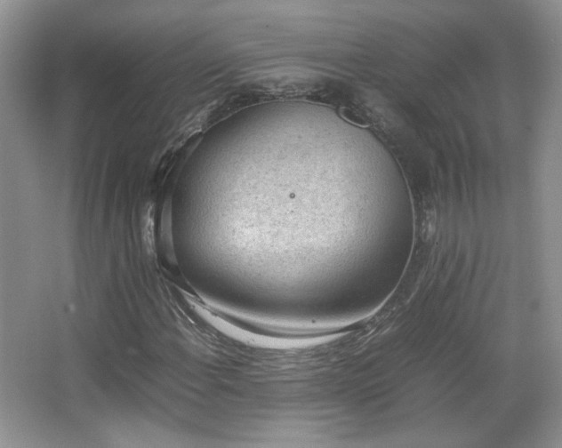 X0000067501108200604071219