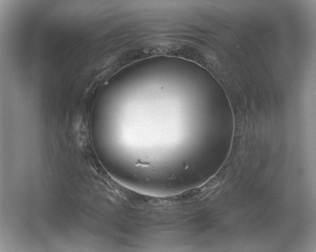 X0000067501109200604071219