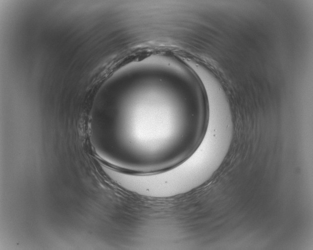 X0000067501110200604071219