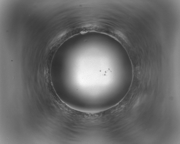 X0000067501111200604071219