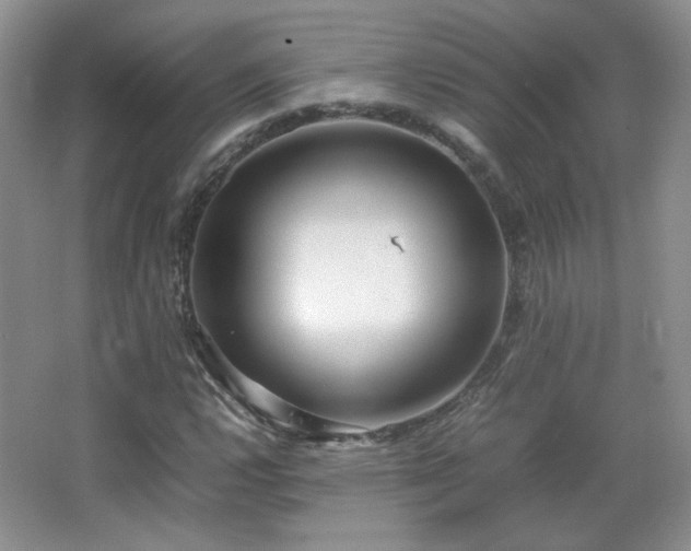 X0000067501112200604071219